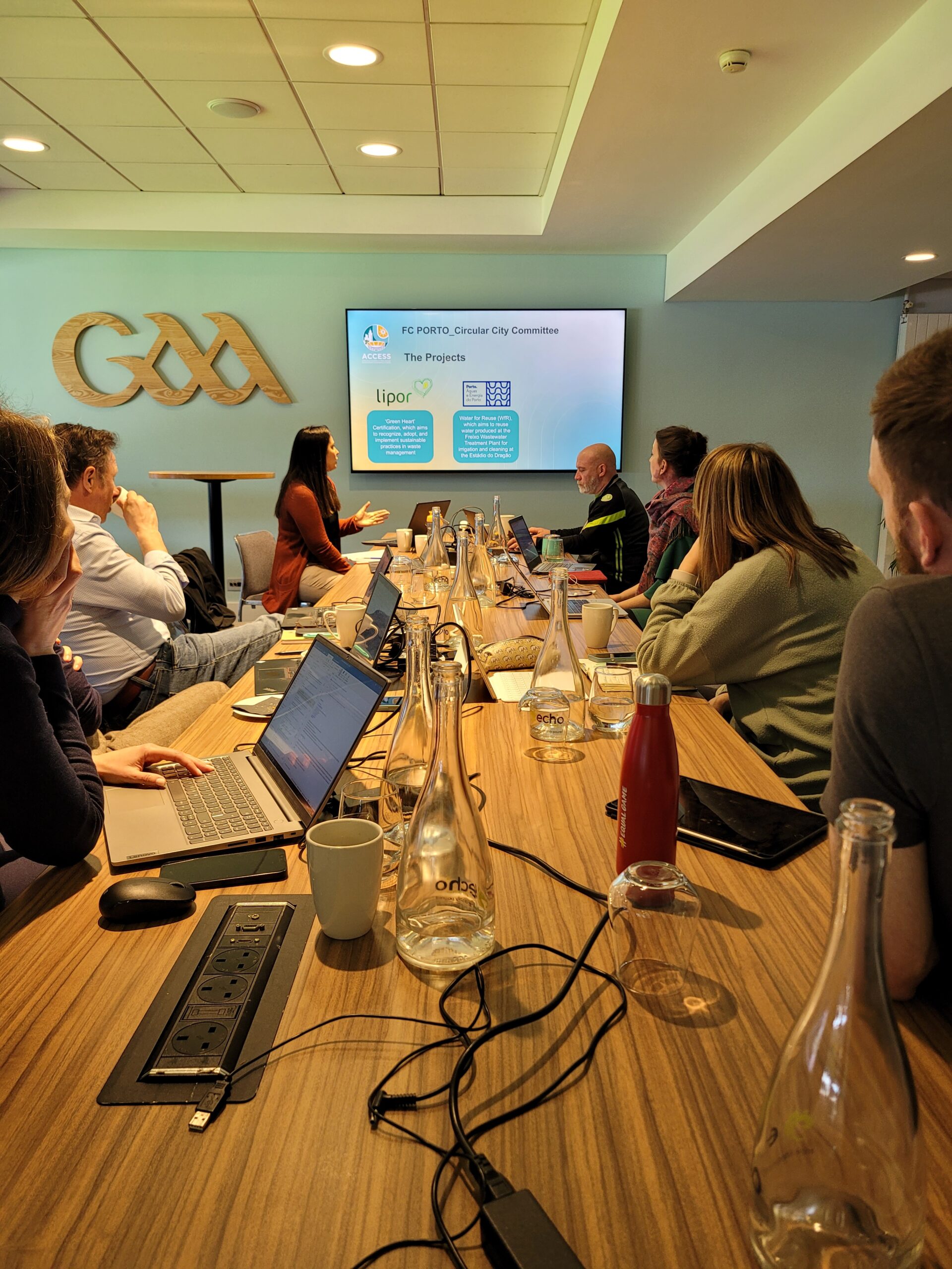 Local and national Action Plans in focus as the ACCESS project partners meet in Dublin