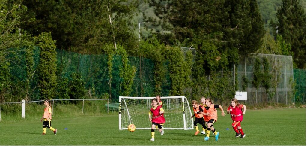 The Football  Association of Wales launches its “Green Goal Charter”